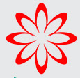 beautyvice.com-logo